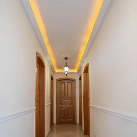 Aloe Vera Penthouse Corner *