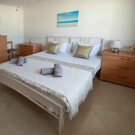 Aloe Vera Penthouse Corner *