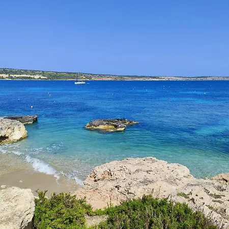 Aloe Vera Penthouse Corner * Is-Sellum