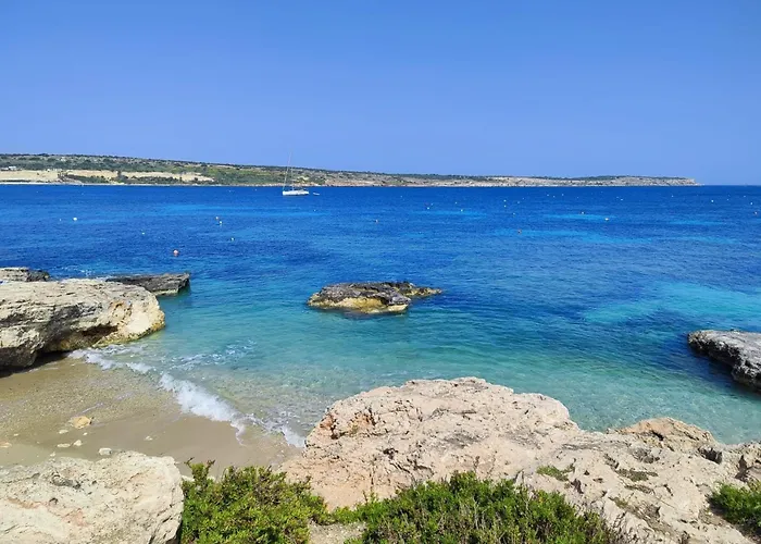 Aloe Vera Penthouse Corner * Is-Sellum
