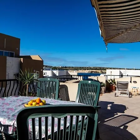 Aloe Vera Penthouse Corner *