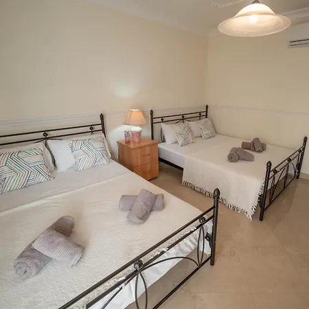 Aloe Vera Penthouse Corner Is-Sellum