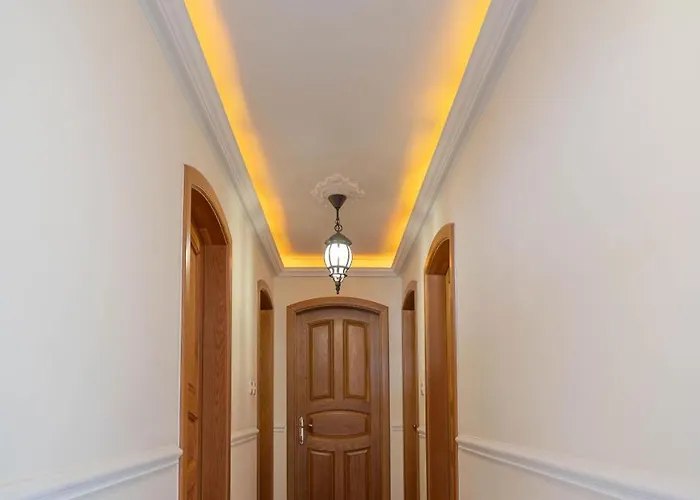 Aloe Vera Penthouse Corner *